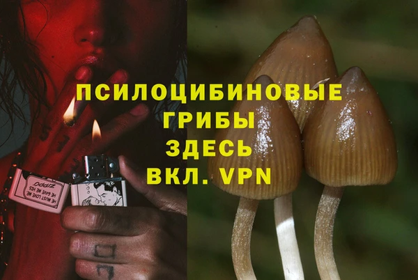 jwh Верхний Тагил
