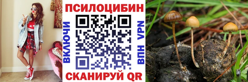 Псилоцибиновые грибы Psilocybe Голицыно