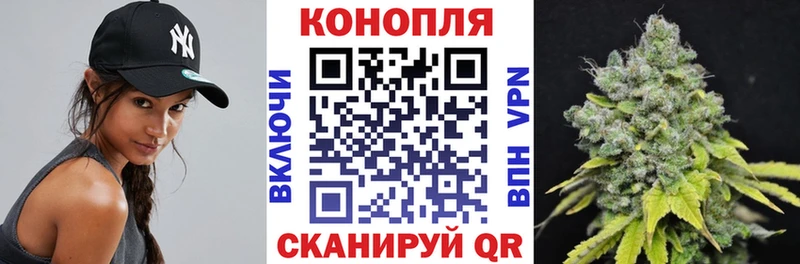 Канабис конопля Голицыно
